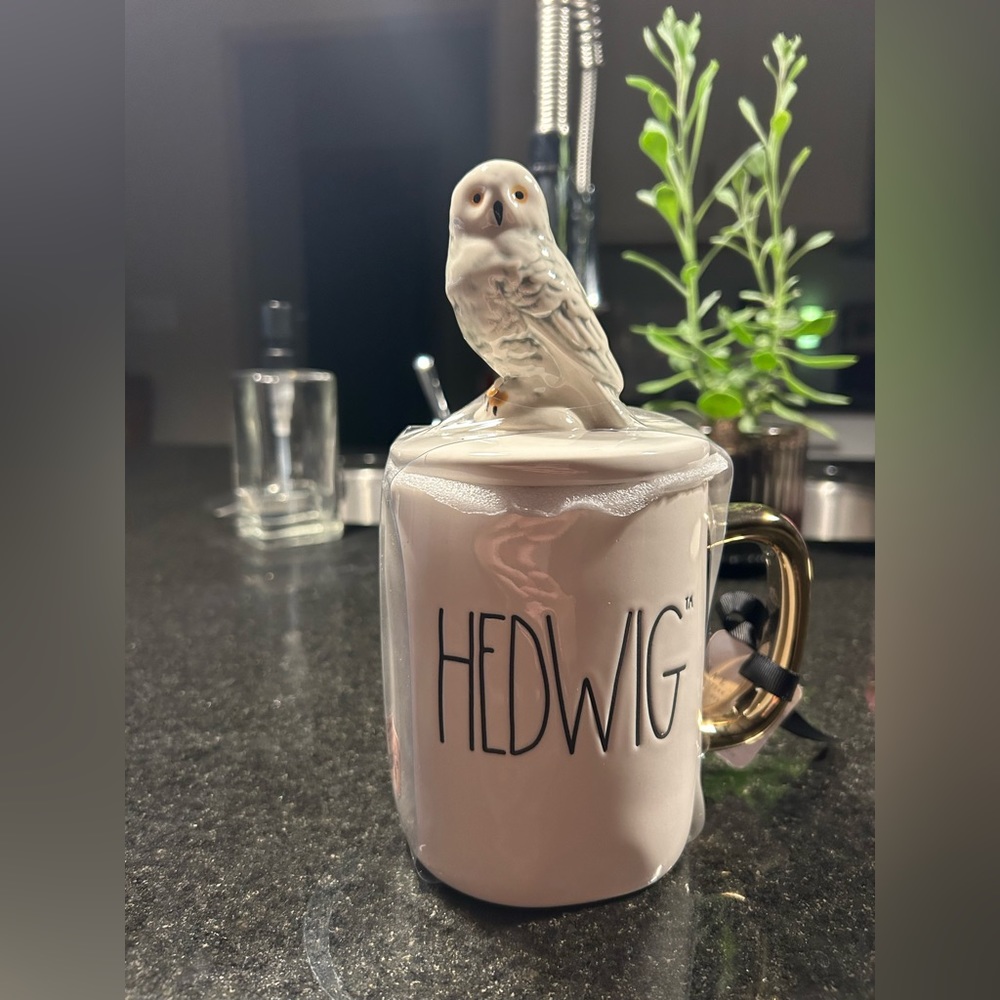 Hedwig Rae Dunn X Harry Potter Mug